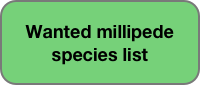 Wanted millipede species list